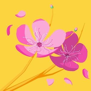 Meet your Posher, Sophia